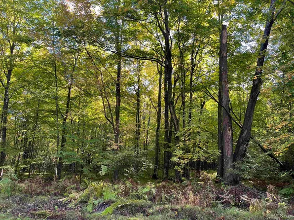 2 Porcupine Lake Rd, Long Lake, WI 54542