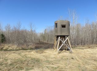 25088 Rosebud Ln NW, Grygla, MN 56727