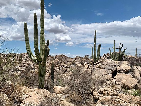 3rd image of 1459 W Tortolita Mountain Cir