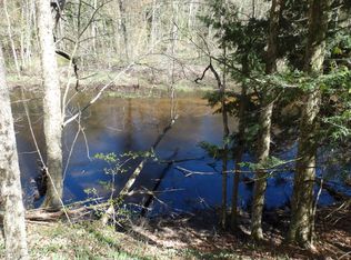 Big Four Rd, Bear Lake, MI 49614