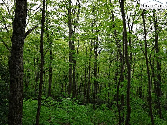 5th image of Lot 24 Hunter Lane
