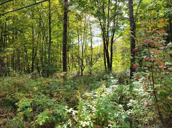 Lot 47-B Bean Road, Mount Vernon, ME 04352