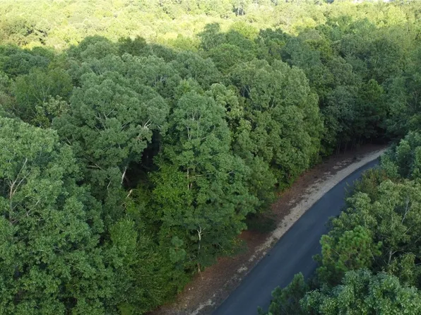 0 Lee Rd #2098, Salem, AL 36874