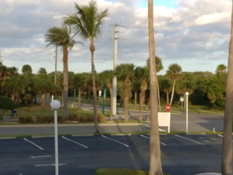 Neighborhood