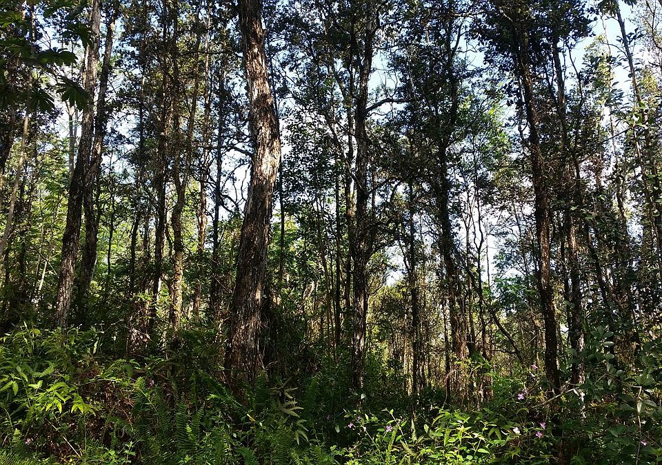 2nd image of Lanai Rd Lot 116