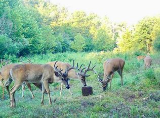 0 McBride Rd, Protem, MO 65733