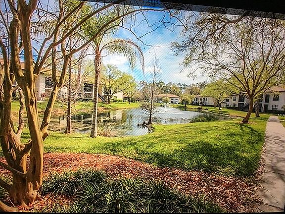 Community pond 