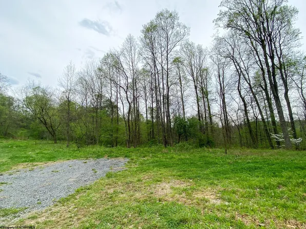 LOT 5 E Run Cir, Four States, WV 26572