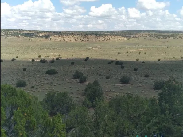 1587 State Highway 36 Hwy, Fence Lake, NM 87315