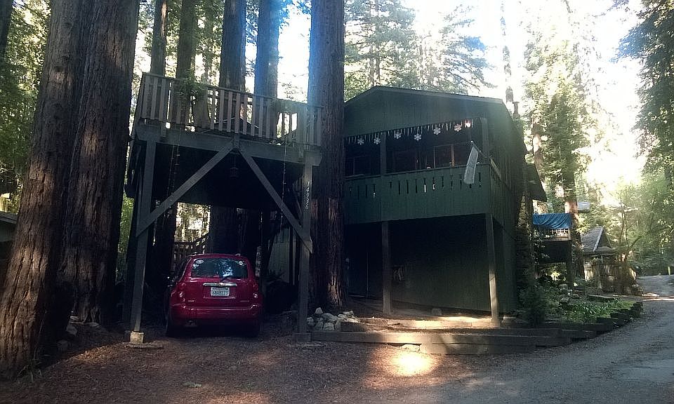 Rustic Cabin in the Redwoods