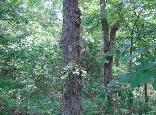 Tbd County Road 3940, Mountain View, MO 65548