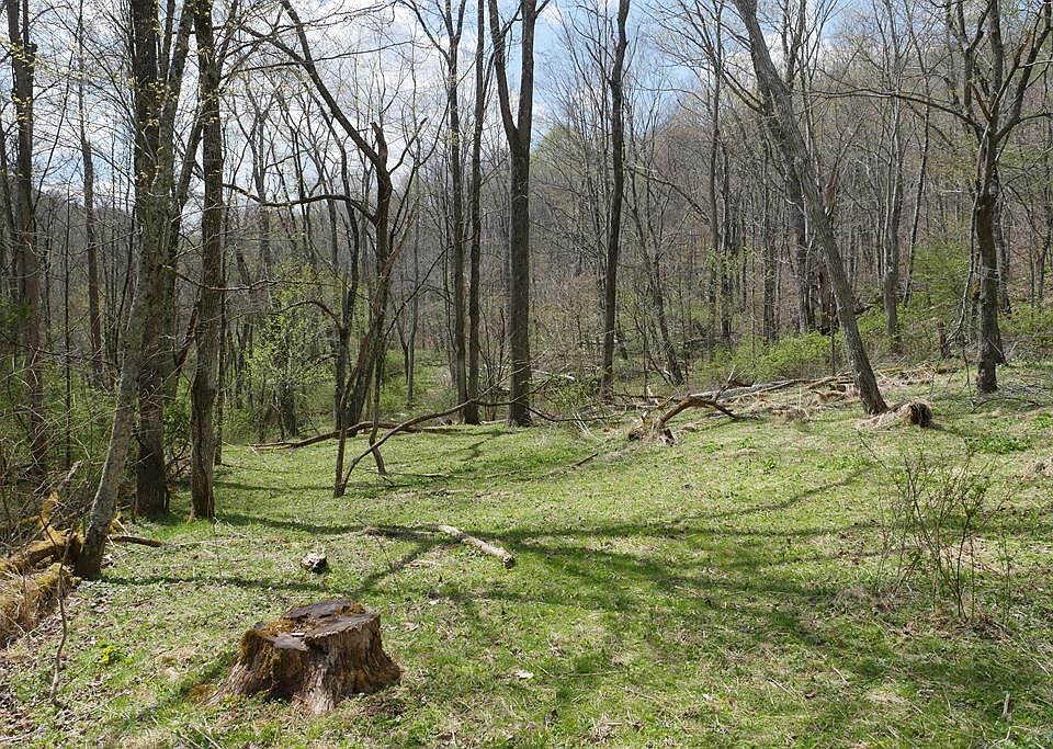 1st image of Unity Rd