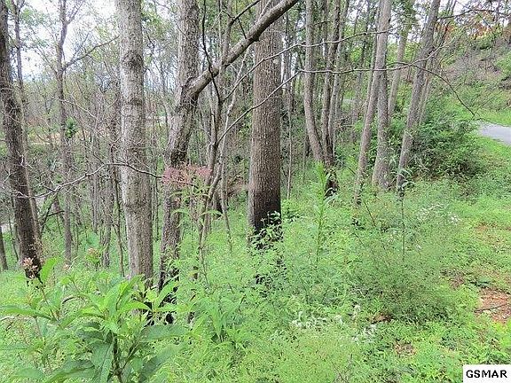 2nd image of 58 Deer Path Ln #58
