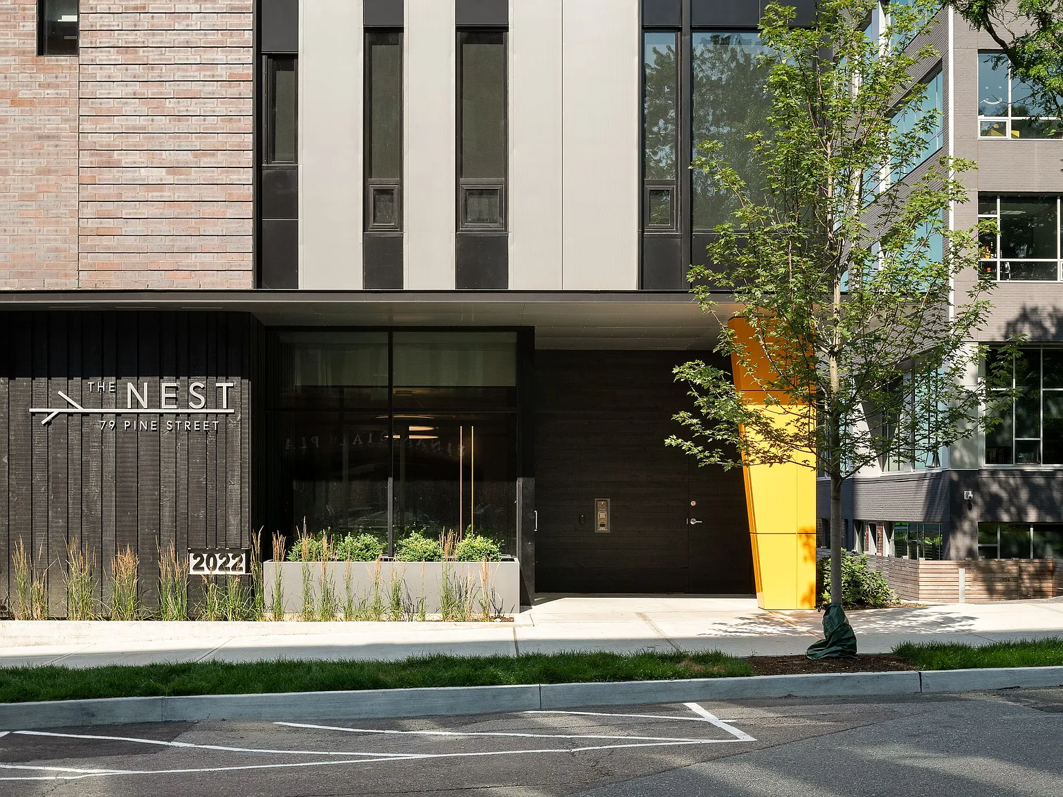 The Nest — Photo 3