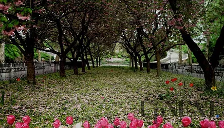 Rented by UpNext Real Estate