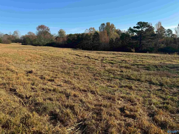 2.02 Baker Mountain Rd, Grant, AL 35747