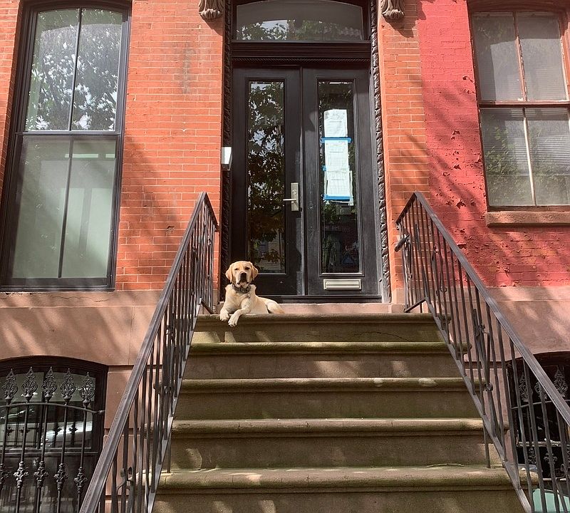 1st image of 314 Cumberland St #1