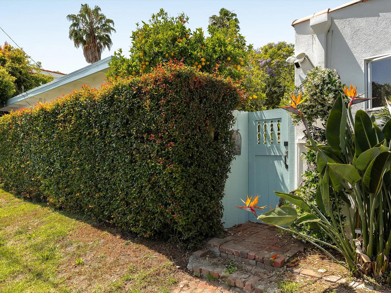1 bed, 836 sqft, $5,500 — Photo 2