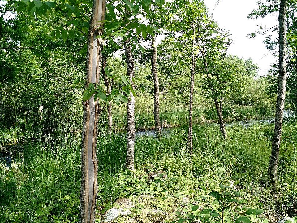 2nd image of 1460 Jarvi Rd