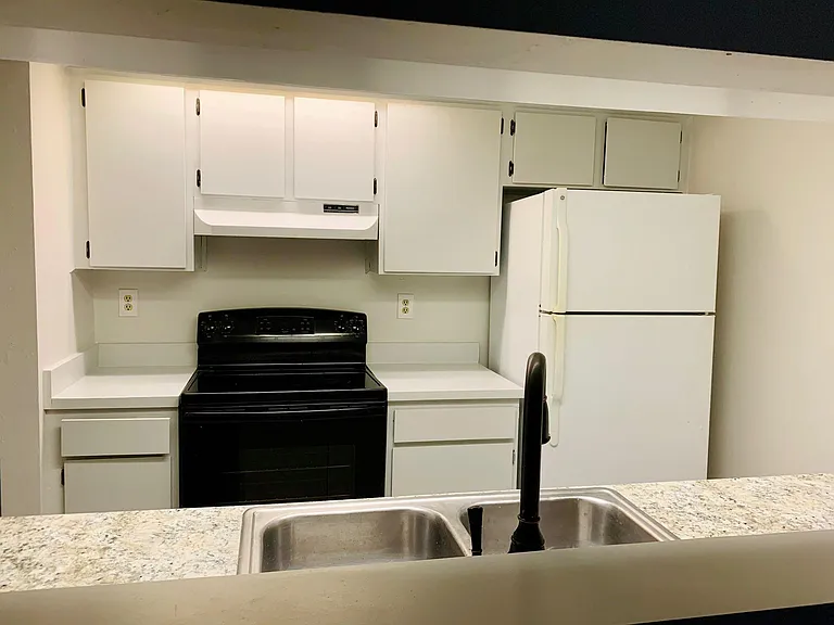4411 Shady Terrace Ln — Photo 3