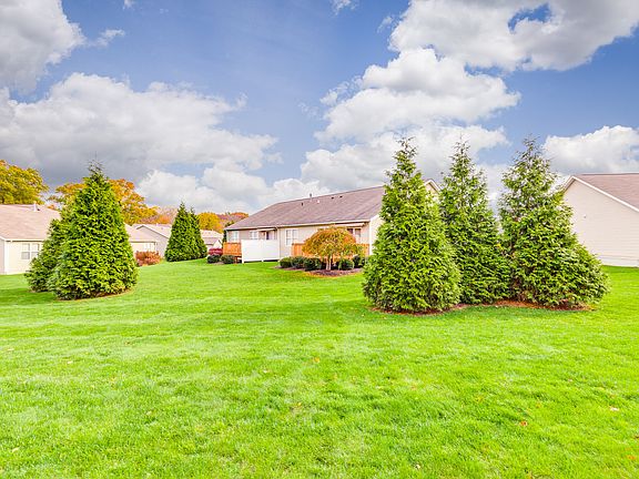 Views of the backyard