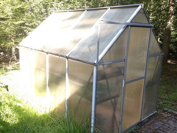 Greenhouse!