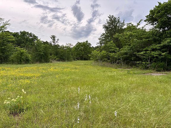 4th image of 121 Horned Owl Rd