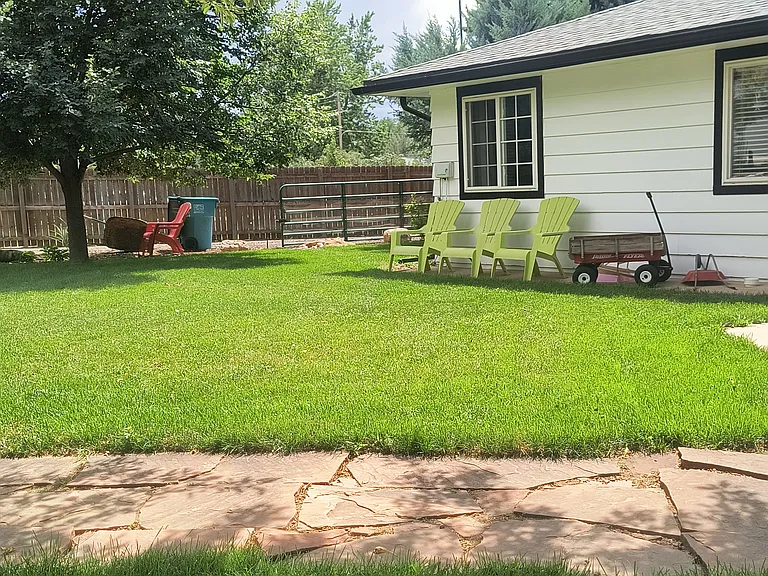 backyard