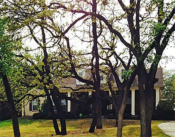 1st image of 2164 Ravenwood Dr