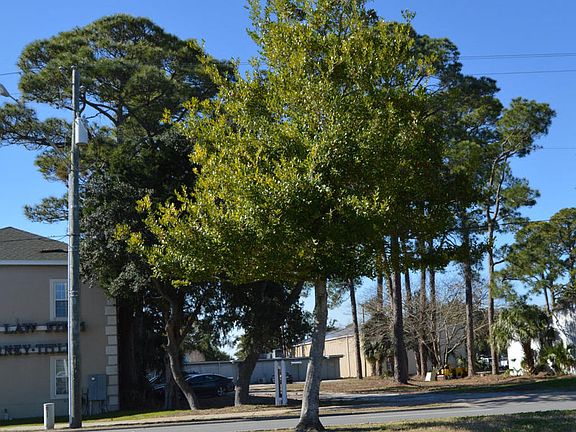 4th image of 108 Eglin Pkwy SE