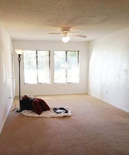 1st image of 4550 Holly Tree Ct APT 103