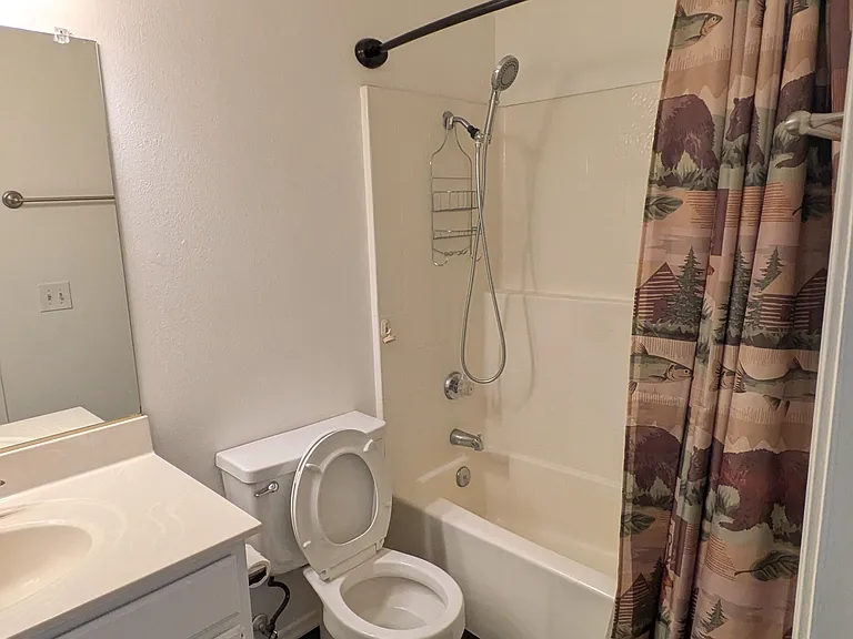 Upstairs second bathroom