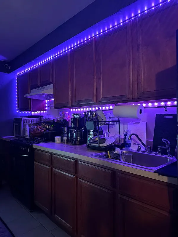 Studio, 1.0 bath, 746 sqft, $1,300 — Photo 1