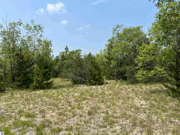 S Westwood Rd NE, Mancelona, MI 49659