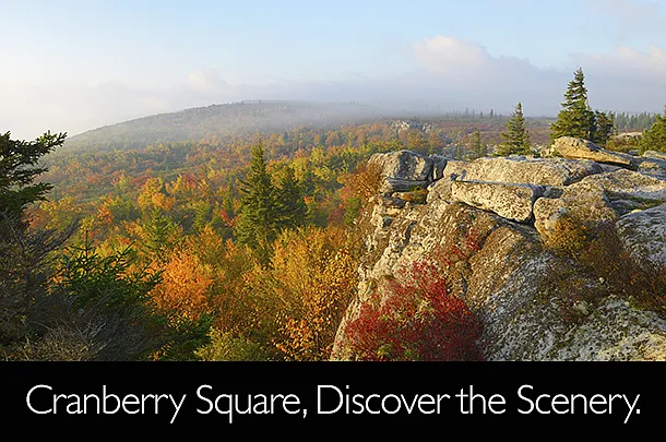 Cranberry Square — Photo 14