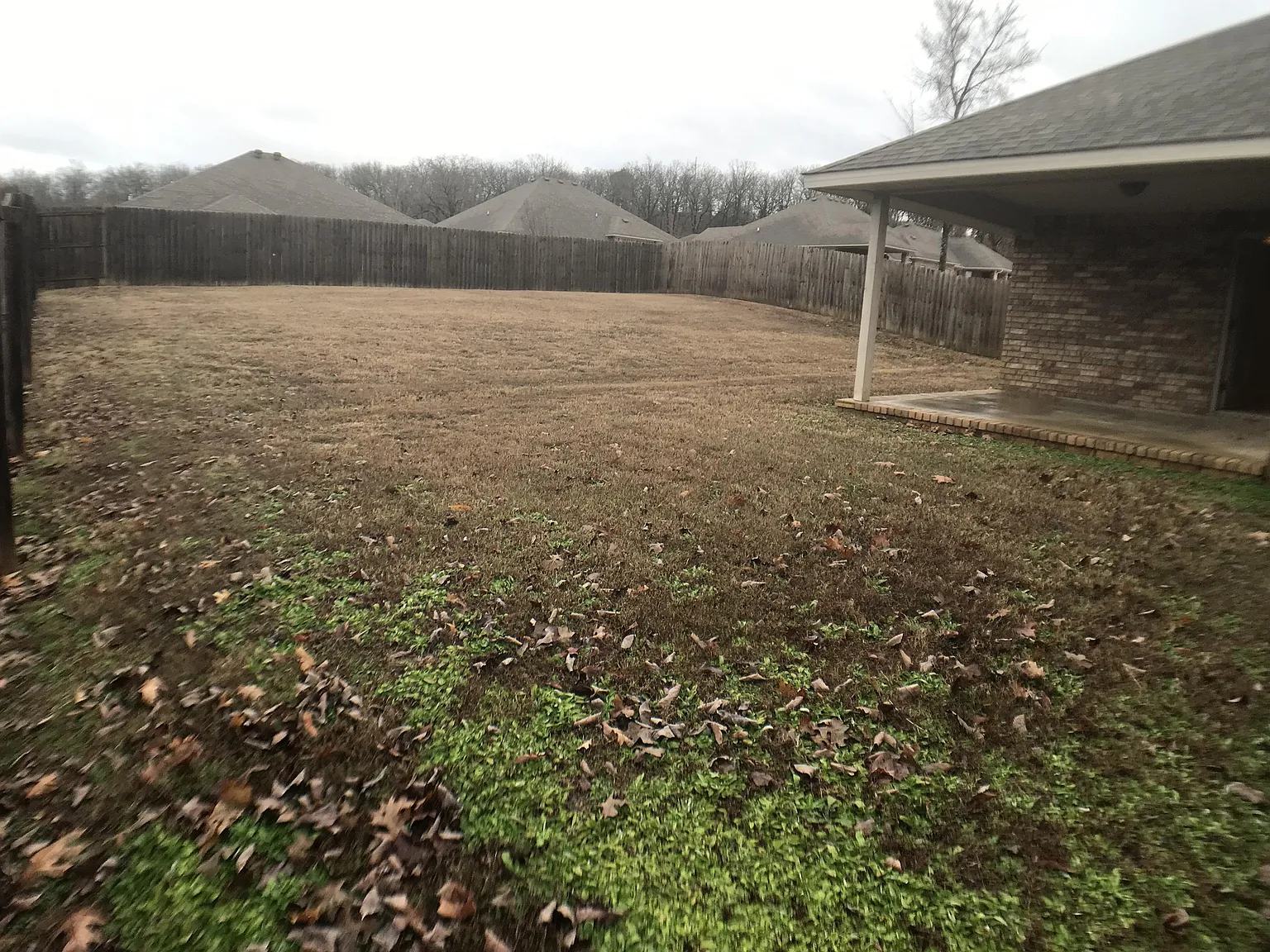 6105 Red Cedar Circle - 1 — Photo 2