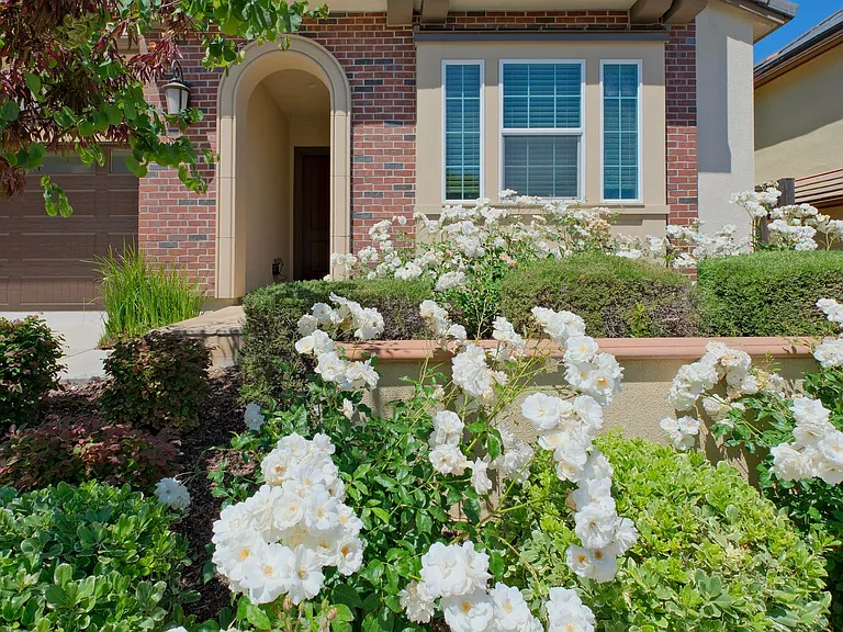 6536 Terrace Ridge Ct — Photo 2