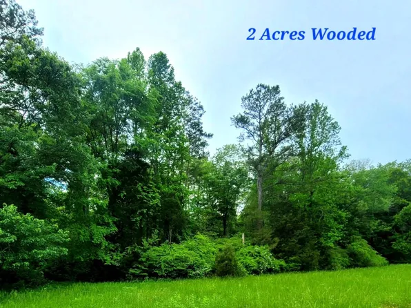0 Wolf Creek Rd, Spring City, TN 37381