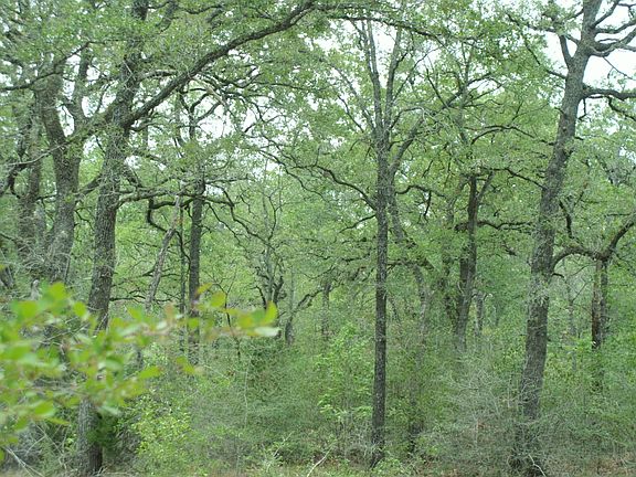 2nd image of 8315 Hines Ln. Lot #7 #5 acres.