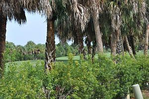 Home For Sale In Gator Trace