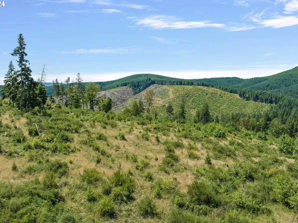 47608 NW Chrysler Dr #2, Banks, OR 97106