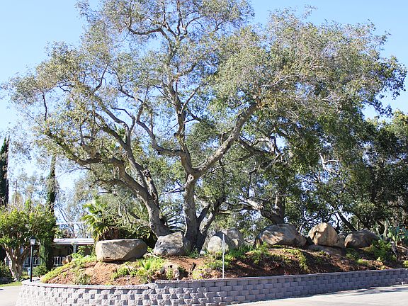 3rd image of 1750 Citracado Pkwy Spc 163