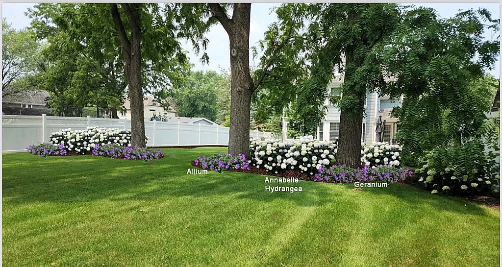 213 Walnut St photo 1