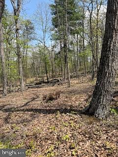 5th image of Easter Ridge Ln