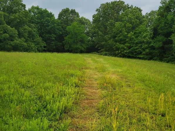 738 Rednour Rd, Smithland, KY 42081