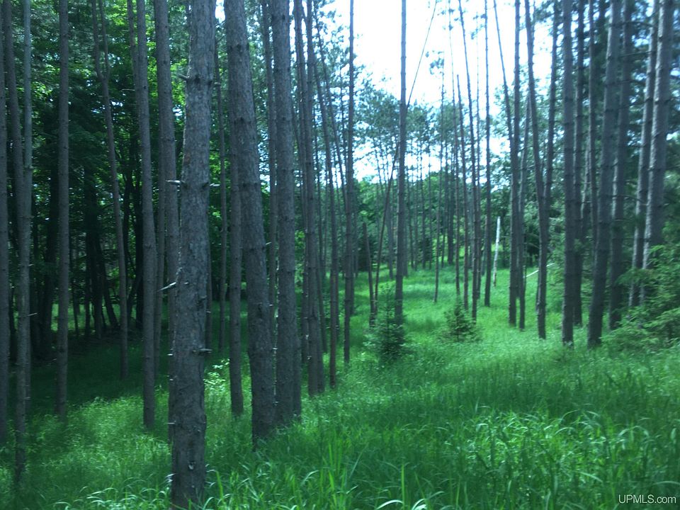 Hupps Rd, Vulcan, MI 49892 Zillow