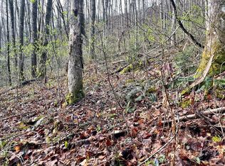 105 Battle St LOT 105, Bryson City, NC 28713