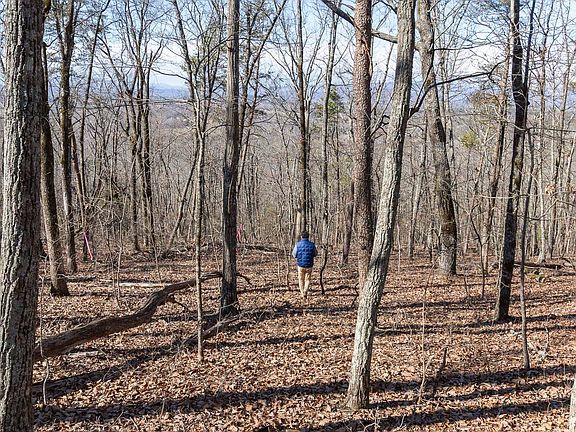 5th image of 363 Glassy Mountain Church Rd