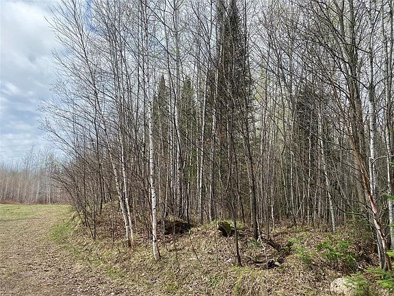 2nd image of Near Wilson Lake Road