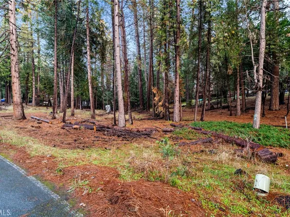 1 Old Madrone Rd #78, Pioneer, CA 95666